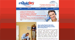 Desktop Screenshot of 877quicdry.com